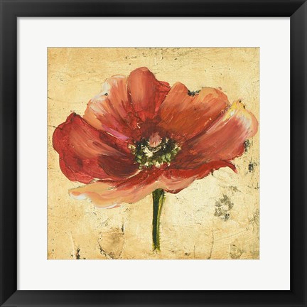 Framed Poppy IV Print