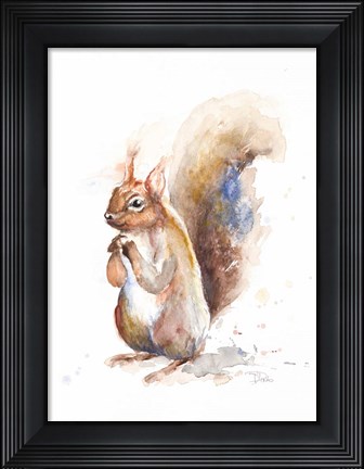 Framed Squirrel Print