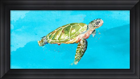 Framed Green Turtle on Light Blue Print