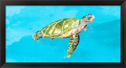 Framed Green Turtle on Light Blue Print