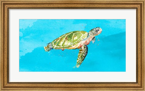 Framed Green Turtle on Light Blue Print