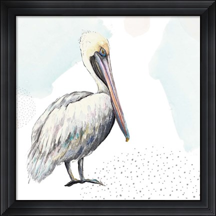 Framed Turquoise Pelican Print