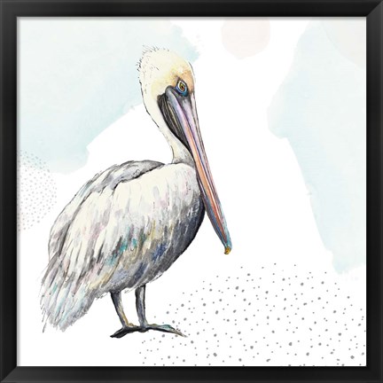 Framed Turquoise Pelican Print