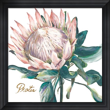 Framed Protea I Print