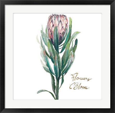 Framed Protea II Print