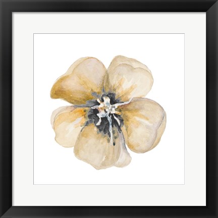 Framed Yellow Flower Print