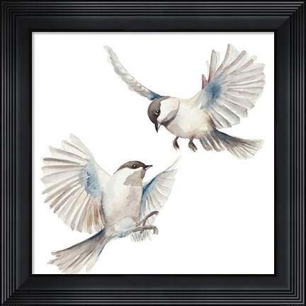 Framed Isolated Birds Print