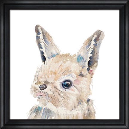 Framed Baby Bunny Close Up Print