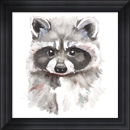 Framed Baby Raccoon Print