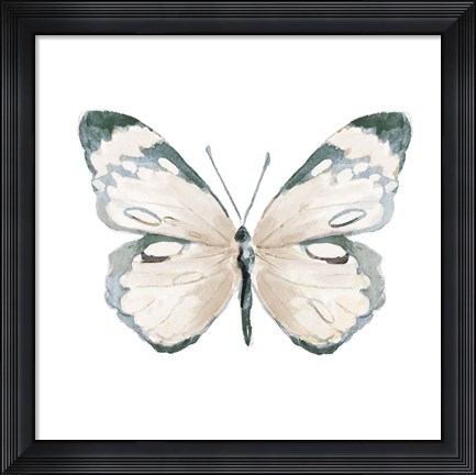 Framed Steady Wings III Print
