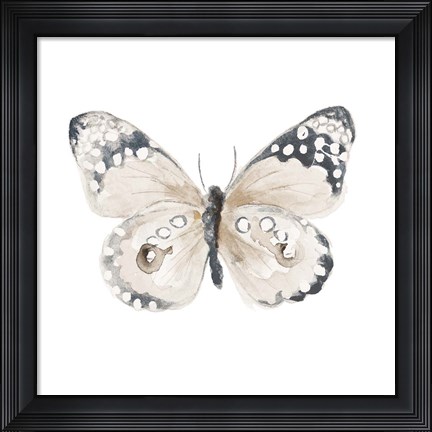 Framed Steady Wings I Print