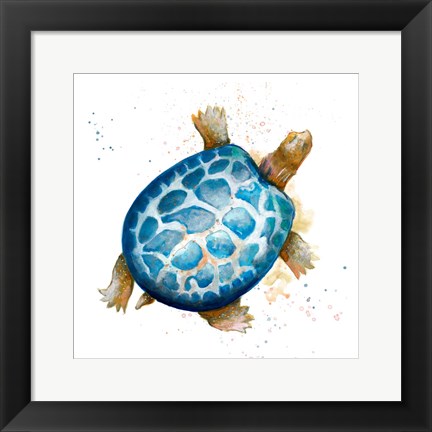 Framed Tortuga Azul Square Print