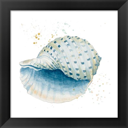 Framed Caracol Azul Square Print