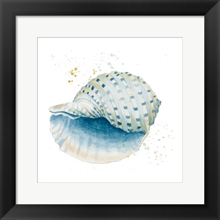 Framed Caracol Azul Square Print