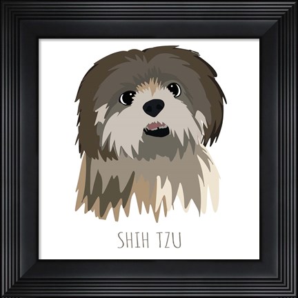 Framed Shih Tzu Print