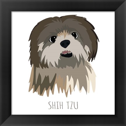 Framed Shih Tzu Print