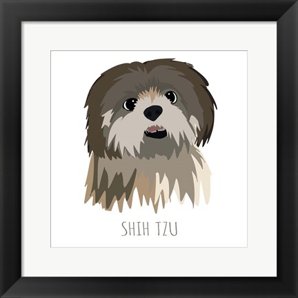 Framed Shih Tzu Print