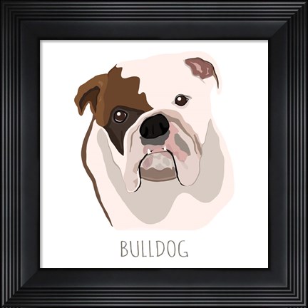 Framed Bull Dog Print