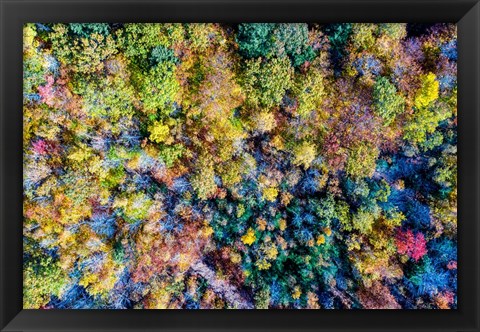 Framed Aerial Fall Trees Print