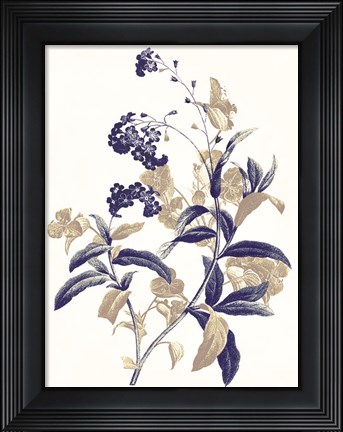 Framed Indigo Flowers Two Print