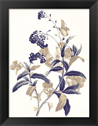 Framed Indigo Flowers Two Print