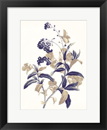 Framed Indigo Flowers Two Print