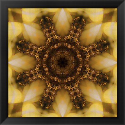 Framed Colorful Kaleidoscope 4 Print
