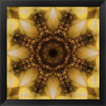 Framed Colorful Kaleidoscope 4 Print