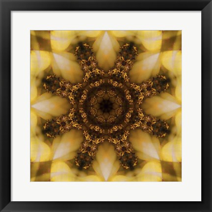 Framed Colorful Kaleidoscope 4 Print