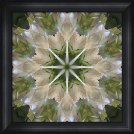 Framed Colorful Kaleidoscope 5 Print