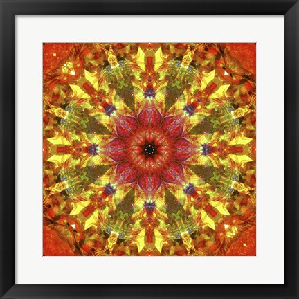 Framed Colorful Kaleidoscope 9 Print