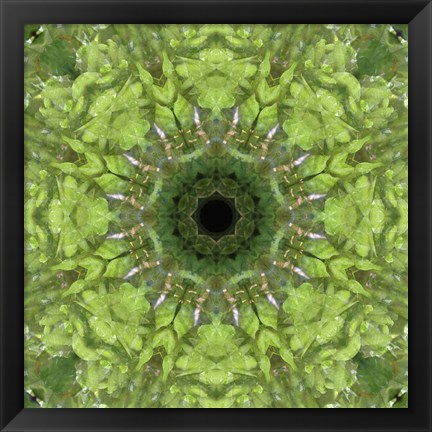 Framed Colorful Kaleidoscope 11 Print