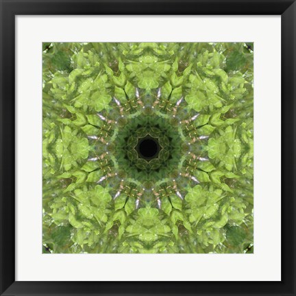 Framed Colorful Kaleidoscope 11 Print