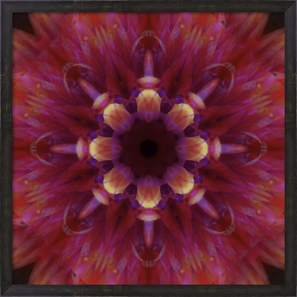 Framed Colorful Kaleidoscope 14 Print
