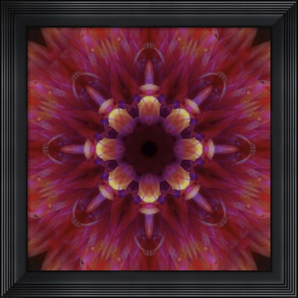 Framed Colorful Kaleidoscope 14 Print