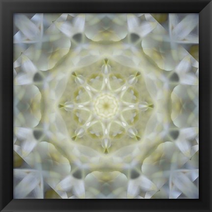 Framed Colorful Kaleidoscope 15 Print