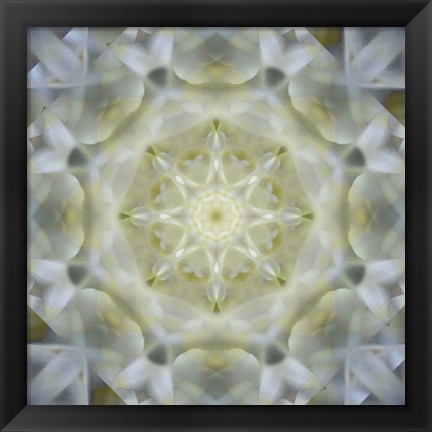 Framed Colorful Kaleidoscope 15 Print