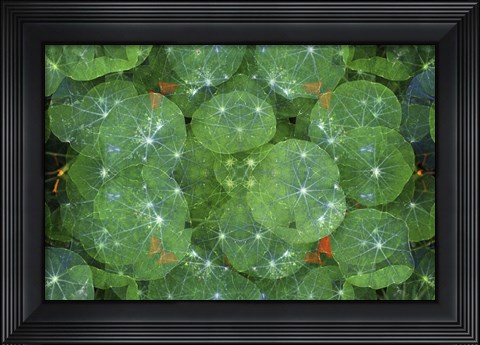 Framed Colorful Kaleidoscope 16 Print