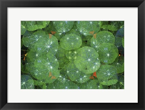 Framed Colorful Kaleidoscope 16 Print