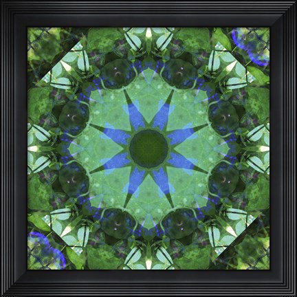 Framed Colorful Kaleidoscope 17 Print
