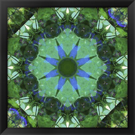 Framed Colorful Kaleidoscope 17 Print