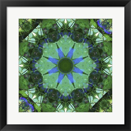 Framed Colorful Kaleidoscope 17 Print