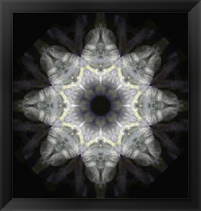 Framed Colorful Kaleidoscope 18 Print