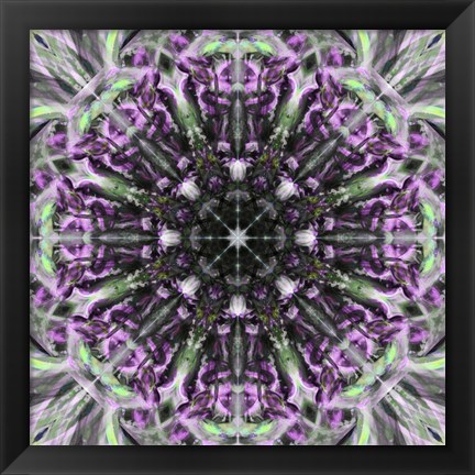 Framed Colorful Kaleidoscope 19 Print