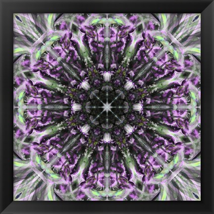 Framed Colorful Kaleidoscope 19 Print