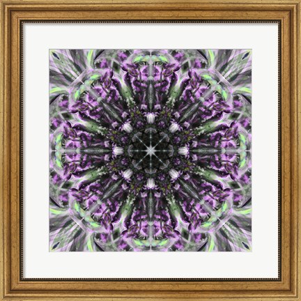 Framed Colorful Kaleidoscope 19 Print