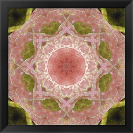 Framed Colorful Kaleidoscope 20 Print