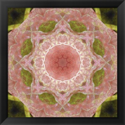 Framed Colorful Kaleidoscope 20 Print