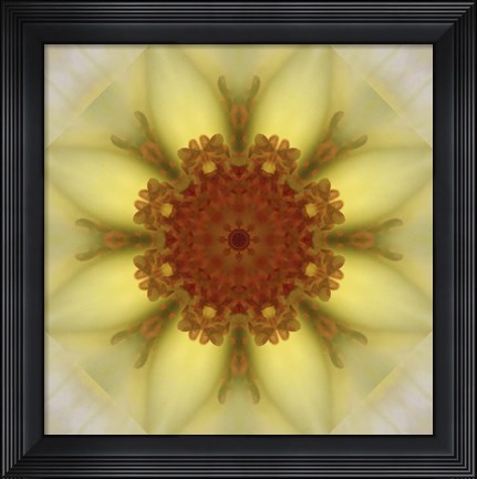 Framed Colorful Kaleidoscope 21 Print