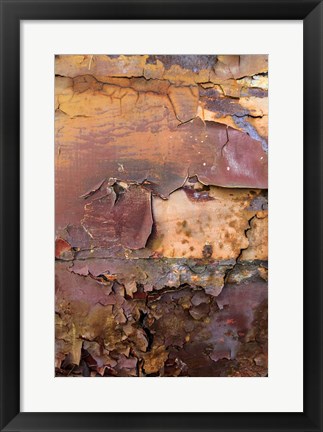 Framed Graffiti and Rust on Old Train Cars Print